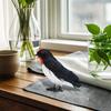Статуэтки птиц Декор для дома Декоративная статуэтка-игрушка из искусственных перьев Животные Коллекционные фигурки Реалистичная Эстетичная комната