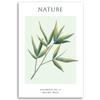 Canvas print, Bamboo leaves - Nature