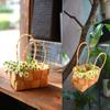 Handwoven Fruit Basket  Home Decoration /Restaurant Serving Tabletop Display