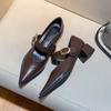 Fashion 2025 New Designer Vintage Heels Women Silvery Pointed Toe Women Mary Jane Shoes Fashion Shallow Casual Low Heel Dress Shoes