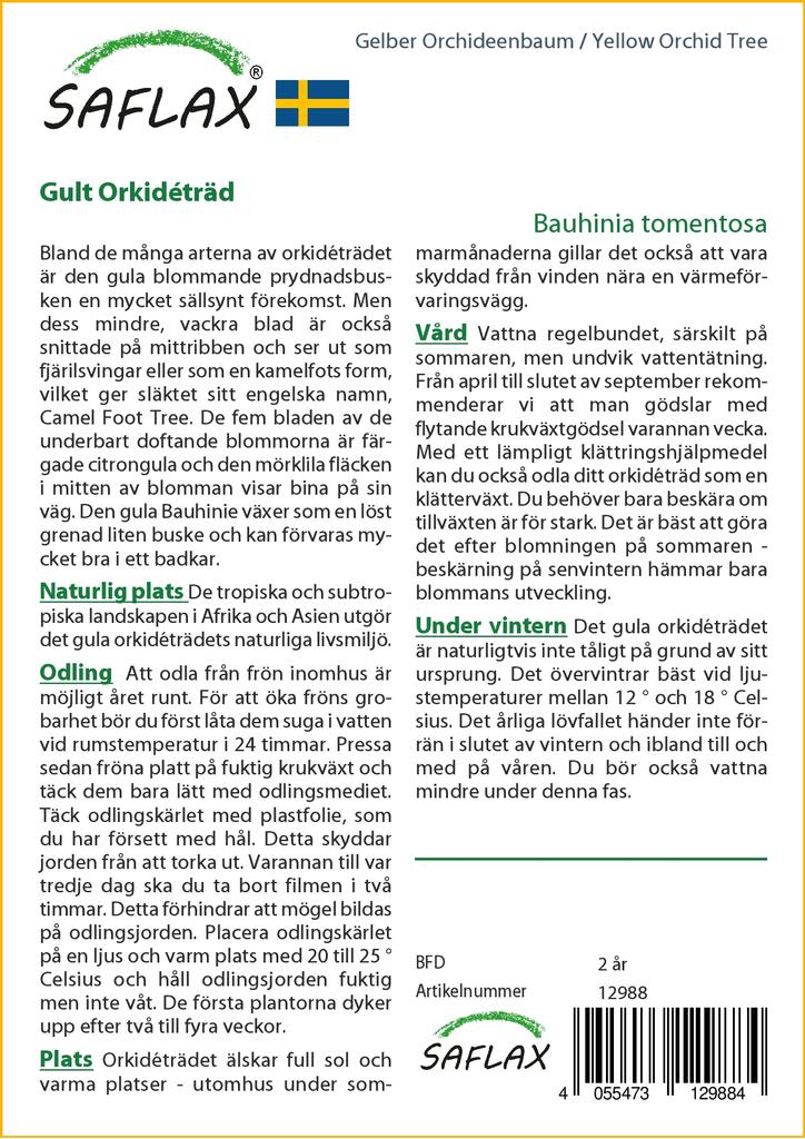 SAFLAX Желтая орхидея - 30 семян - Bauhinia tomentosa