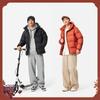 Li Ning Спортивная Модная Коллекция Пуховик Мужской AYMV191-4