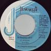 7-дюймовая пластинка YORUBA Burning Hot NONE Jammys Records 1991 Ямайка Регги Ска Даб Б/у