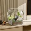 Compact Desktop Ecosystem Tank: Round Bottom, Ideal for Living Room or Study, Includes Decorative Micro Landscape and Small Fish Aquarium.