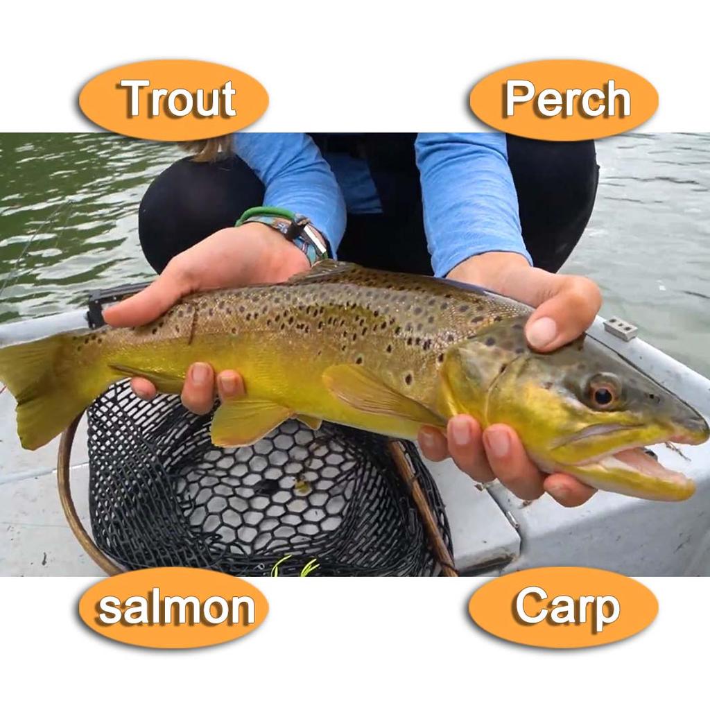 6/10 шт./набор - сухие мушки, наживка для ловли рыбы нахлыстом, нимфа Brasshead, белая и желтая наживка для ловли щуки, форели, лосося, окуня, нахлыстовые мушки - размеры № 10