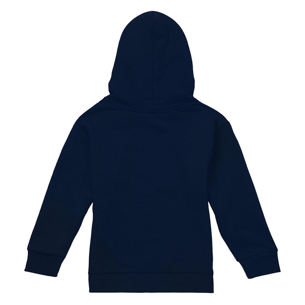 Pink Floyd Childrens/Kids The Dark Side Of The Moon Album Hoodie