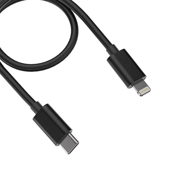 FIIO LT-LT3 FIO-LT-LT3 [Ships from an Authorized Japanese Retailer] USB Type-C OTG Cable with Lightning Audio