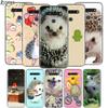 Hedgehog Cute Animal For LG V60 V50S V50 G8X G8S G8 G7 ThinQ 5G K61 K51S K41S K30 K20 Q60 Q9 Soft Phone Case