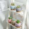 1pc Cute Flower Pot Creative Succulent Planters Ceramic Home Gardening Pots Indoor Outdoor Planters, Ceramic Pots for Plants