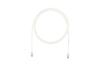 Panduit Cat5e LAN Cable, Ultra-Thin, Professional Grade, 5m, Off-White, UTP28CH5M