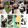 Chinese Baby Panda Transparent Phone Case For Apple iPhone 13 12 11 Mini Pro Max XS X XR 7 8 Plus SE Cute  Cases Cover Lazy Bear