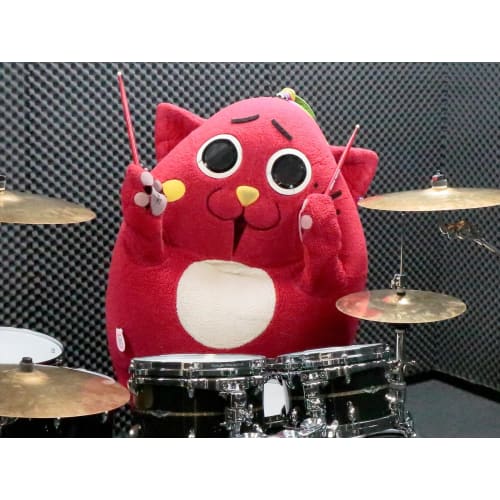 Палочки TAMA Nyangostar Model, Клен, Диаметр 15 мм, 405 мм, Нейлоновый наконечник, Красная отделка (М-НЯН)