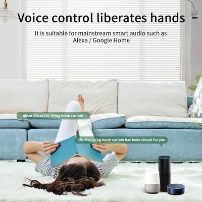 Умный WiFi выключатель для штор Tuya, мотор для роллет, жалюзи, радиочастотный пульт 433 МГц, приложение Smart Life, голосовое управление с Alexa, Google Home