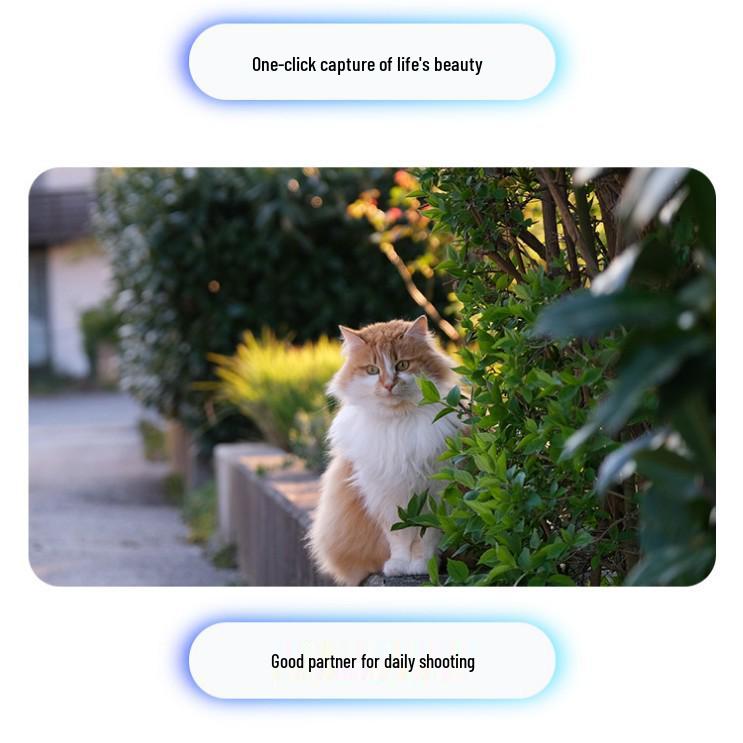 Умные очки AI106: Голосовой ИИ, Распознавание объектов, Подключение Bluetooth и Wi-Fi