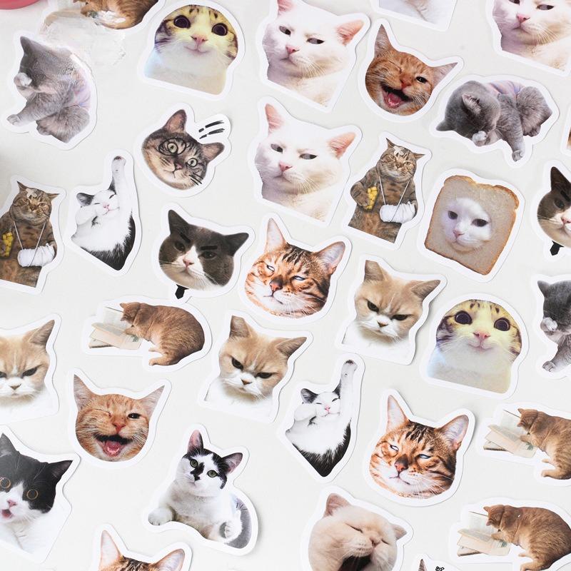 Милая наклейка с кошкой, креативная наклейка с изображением черного котенка Kawaii, играющего с милой канцелярской наклейкой для декоративного альбома своими руками