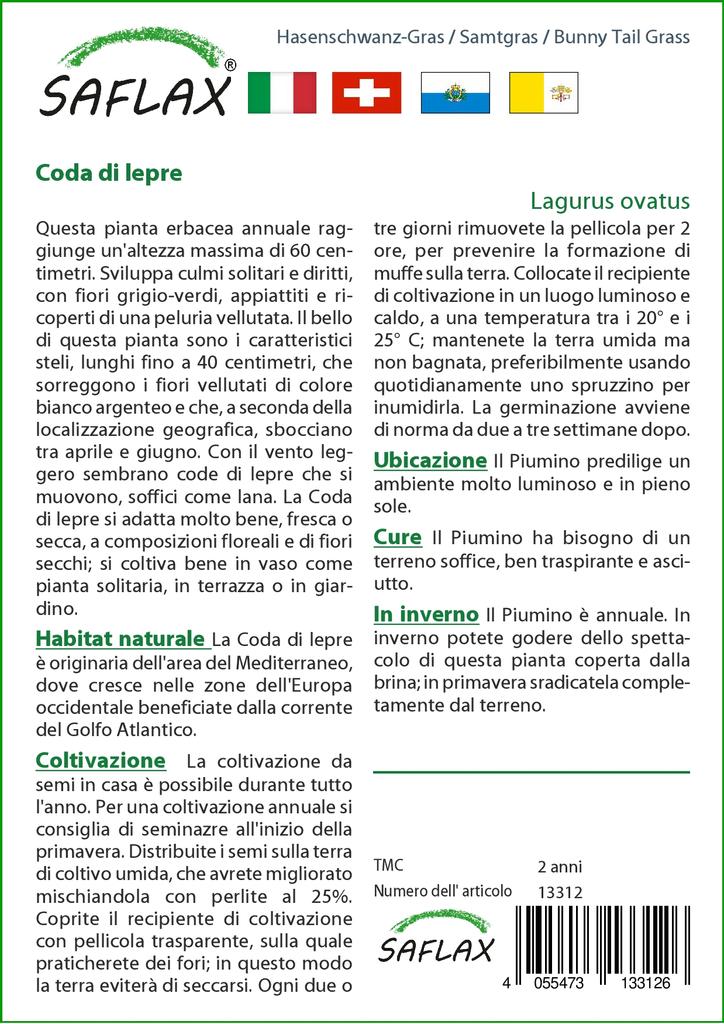 SAFLAX Garden in the Bag - Трава Банни Хвост - 100 семян - С субстратом в подходящем мешке - Lagurus ovatus
