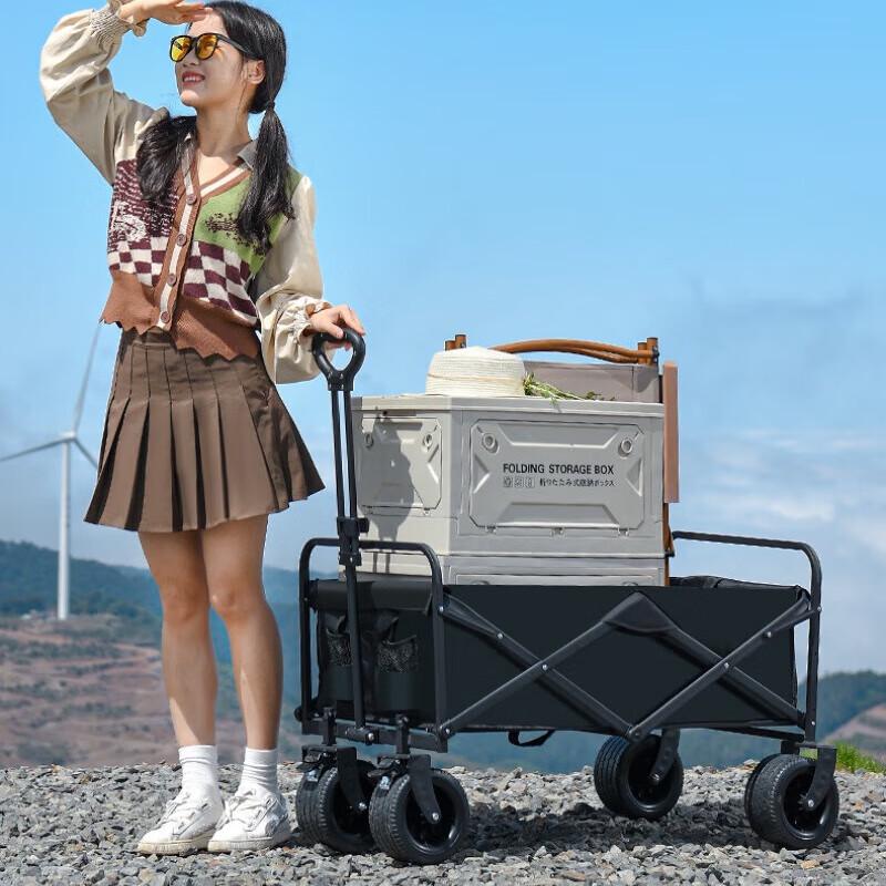 Outdoor Camping Folding Cart