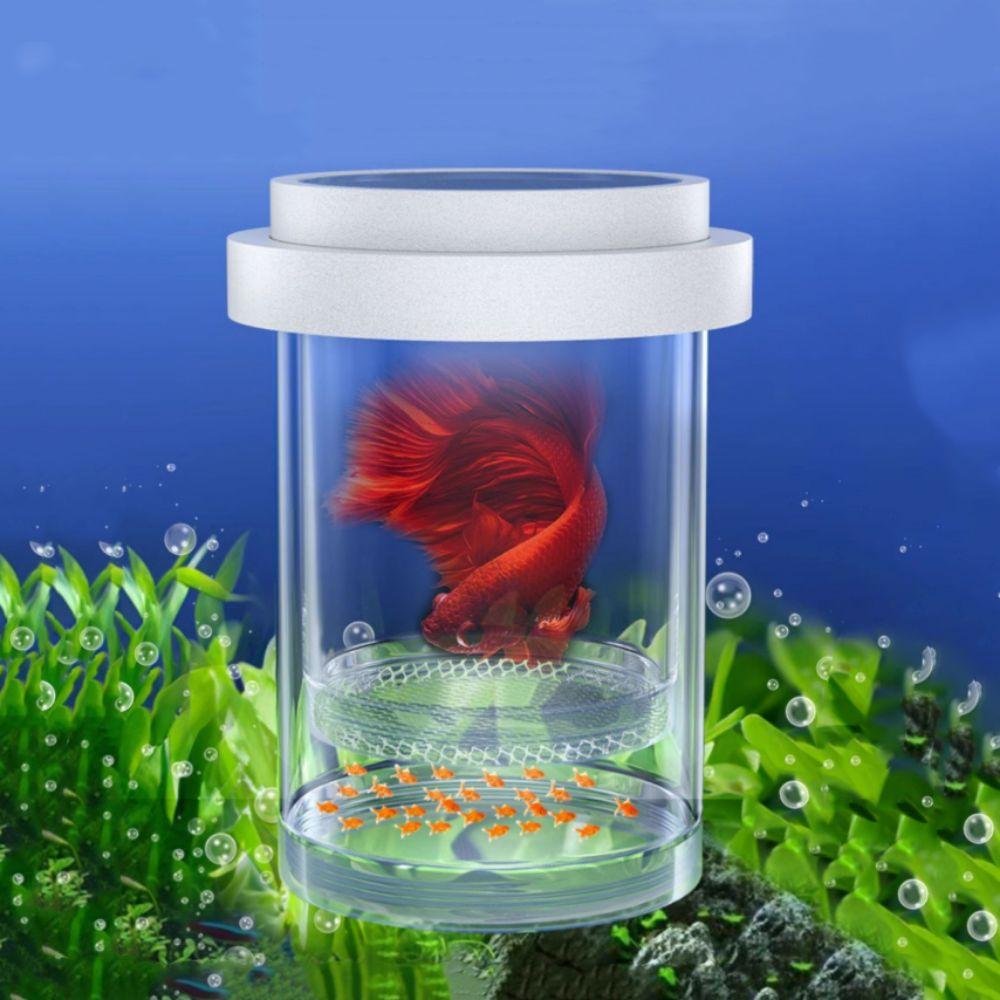 Fine/Coarse Mesh Floating Hatching Box Single Layer Guppy Breeding Box For Aquarium