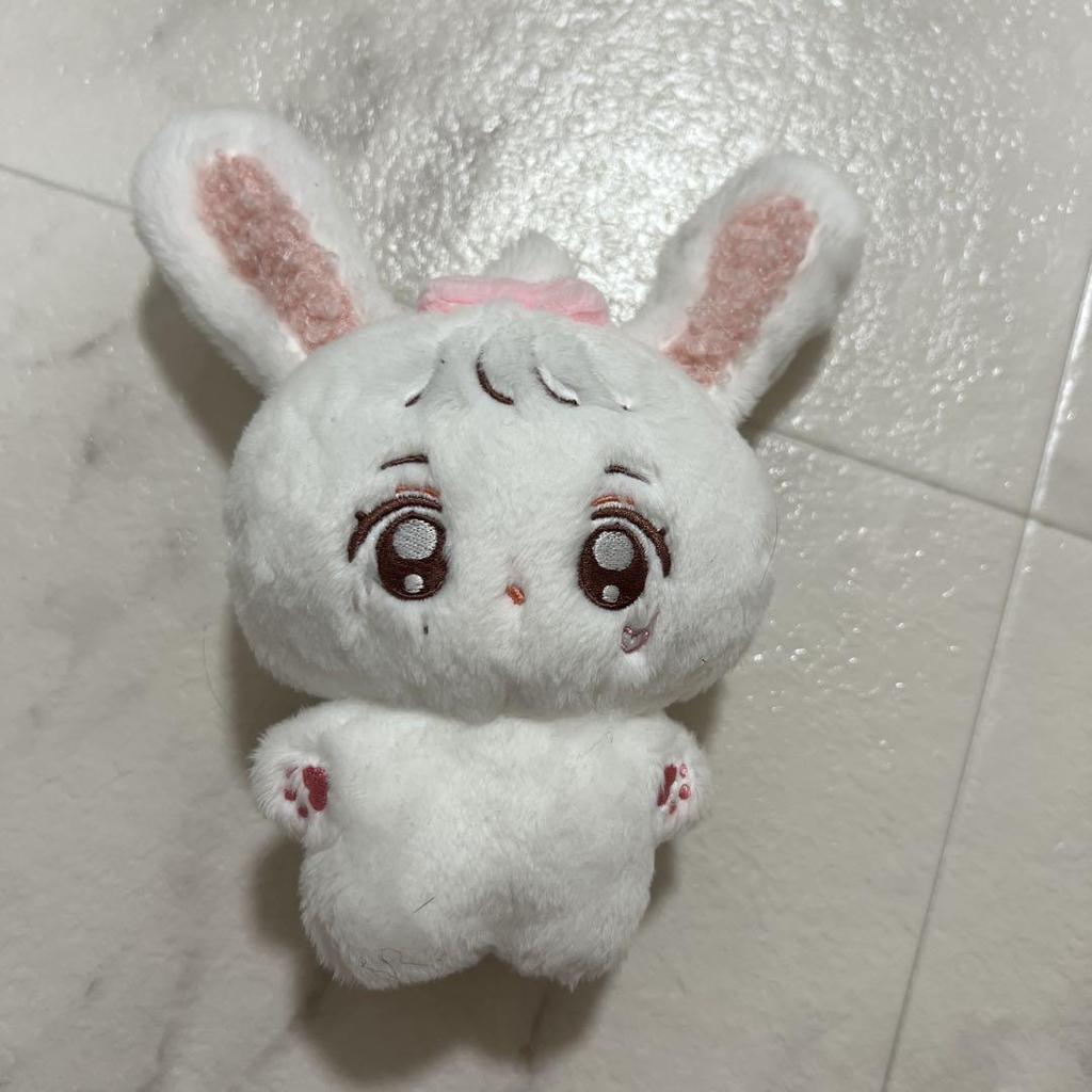 [USED] SEVENTEEN Jeonghan Master 10cm Plush Toy