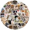 50 Стикеров Эмодзи Кота-Интернет-Знаменитости: Водонепроницаемый, Идеально подходит для чемоданов, ноутбуков, гитар и многого другого!