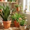 Automatic Irrigation Self-Watering Terracotta Stakes Terracotta Watering Device  Office