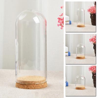 Стеклянный купол для DIY, крышка для вазы с цветами, суккулентами, с деревянной пробкой, украшения