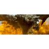 Dvd monster hunter