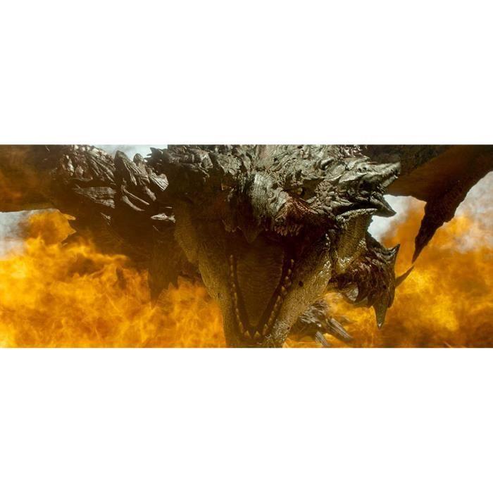 Dvd monster hunter