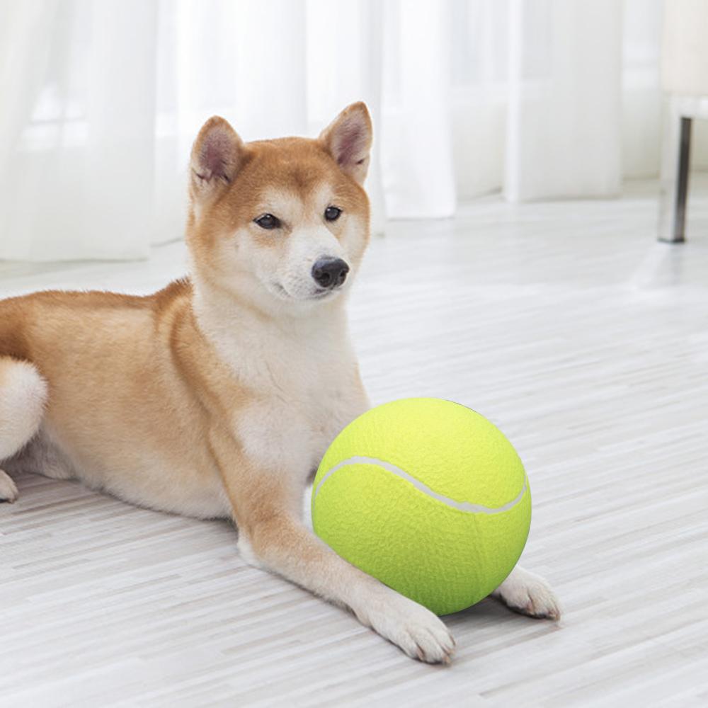 9.5‘um Oversize   Tennis  s Inflatable Tennis   with Pump Dog Toy  s For Signature Children Adult Pets Dogs Cats Fun