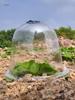 2520 Gallon Reusable Breathable Plastic Seedling Covers with Lids for Frost Protection and Misting