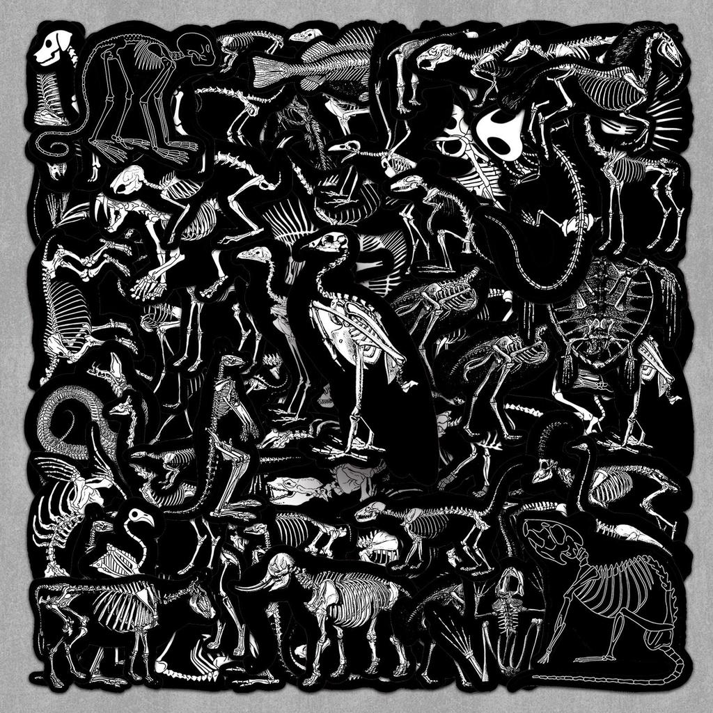 50 Animal Skeleton Stickers: Colorful Bone Art for Journals & Decor