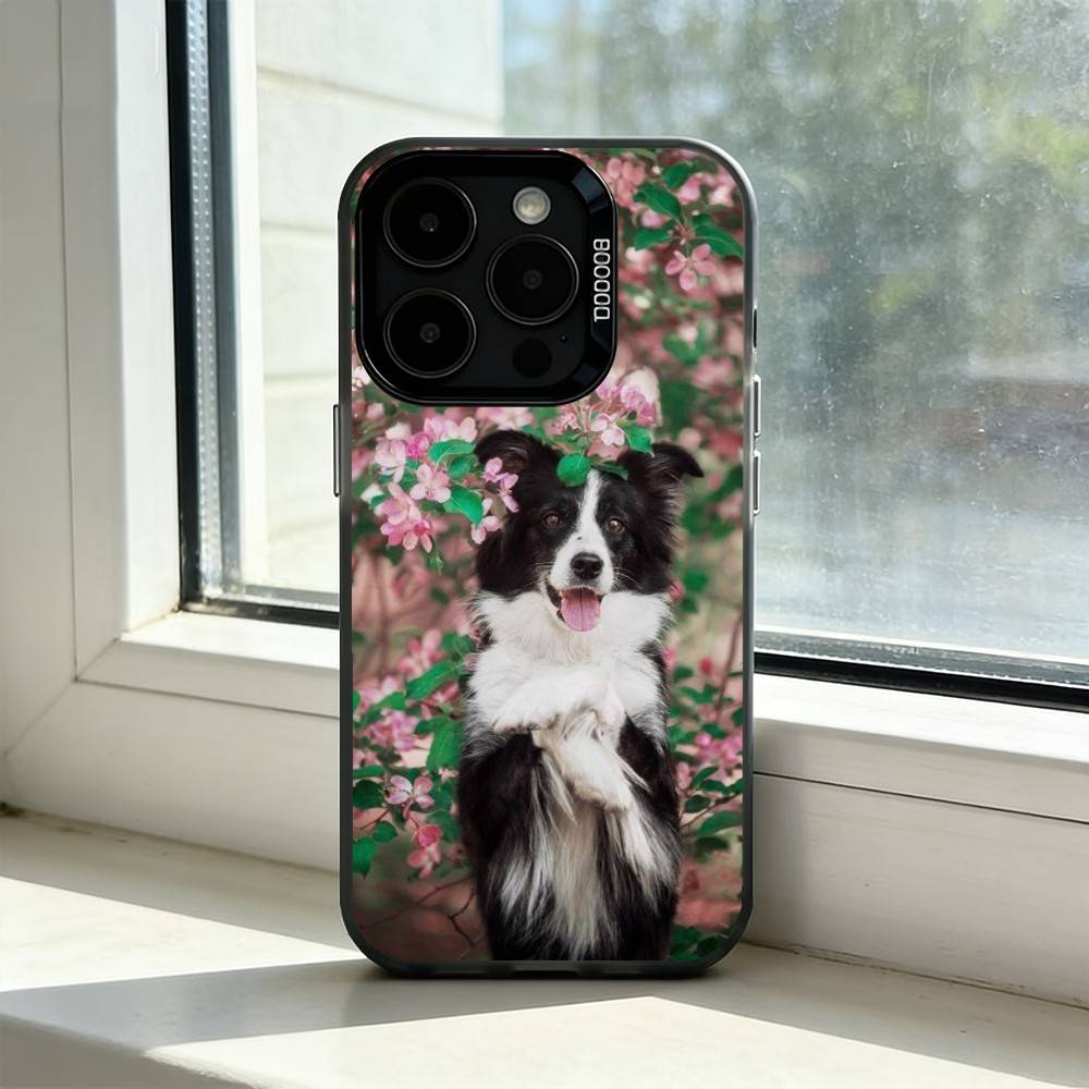 Умная собака Бордер-колли Чехол для телефона iPhone 17,16,15,14,13,12,11 Plus,Pro Max,XS, Цветной Серебристый Черный Чехол