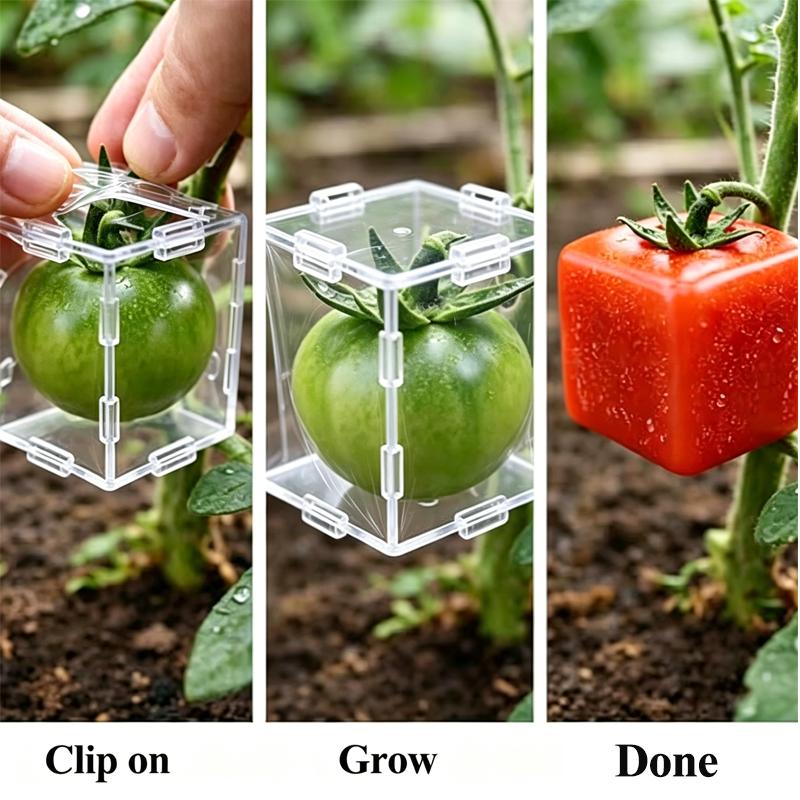 Mini Reusable Tomato Shaping Mould Transparent Plastic Strawberry Plum Fruit Growing Sculpture Home Garden DIY Styling Tool