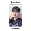 Stray Kids KARMA ДОРОГАЯ МОЯ МУЗА Официальная фотокарточка