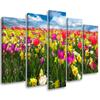 Five Piece Picture Canvas Print Colourful Flowers Meadow