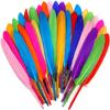 20Pcs Color Duck Feathers For CraftDIY Decorative Vase Carnival Party Accessories Earring Home Wedding Needlework Plume Supplies