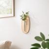 Vase Wall Mounted Planter Wooden Flower Pot Water Plant Tube Stand Wall Decoration  Hydroponics