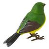 Francfranc Human Sensory Music Bird Clip Green