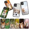 Чехол для OPPO A54 A40 A60 A80 A18 A16 A17 A38 A78 A79 A57 A55 A3 Pro A96 A15 A12 Чехол для телефона Собака Питомец Корги Обои