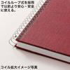 Maruman Sketchbook Artist Medallion F6 S56A-01