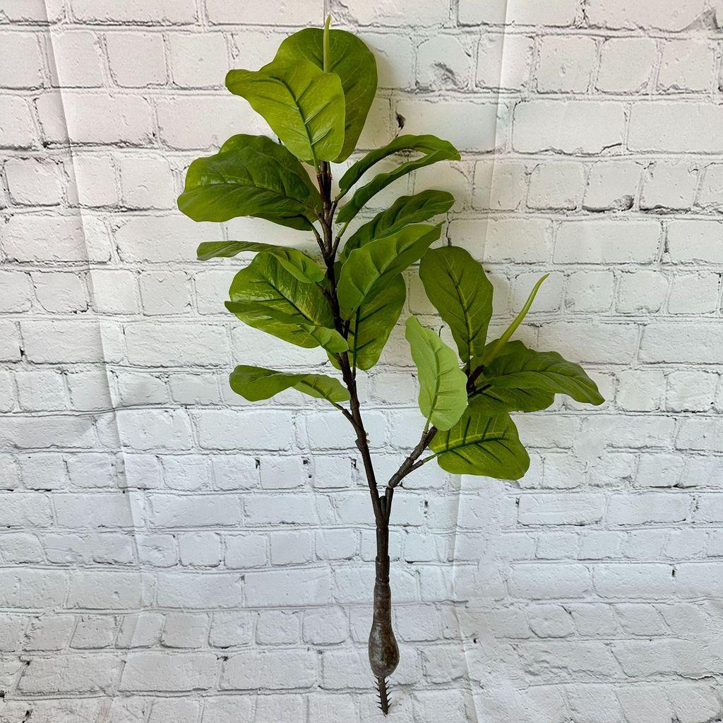 Комнатное зеленое растение бонсай с белыми краями для домашнего декора и фотореквизита