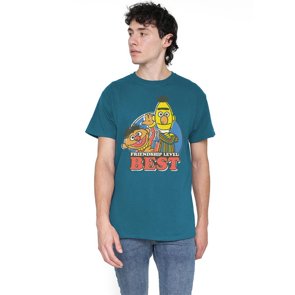Sesame Street Unisex Adult Friendship Level: Best Bert & Ernie T-Shirt