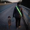 High Visibility LED Safety Belt USB Rechargeable Reflective Cycling Gear  Outdoor Hiking