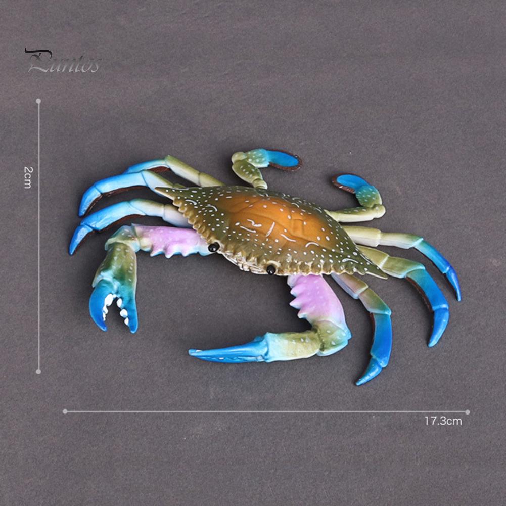 Puntos Kids Toy Simulation Hermit Crab Морское животное ПВХ Модель Настольный Декор Образование