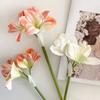 22-дюймовый букет искусственного амариллиса с эффектом Real Touch, длинностебельный, из искусственного шелка, с 2 полностью раскрывшимися цветками и 1 бутоном, для вазы в доме, офисе, цветочных композиций