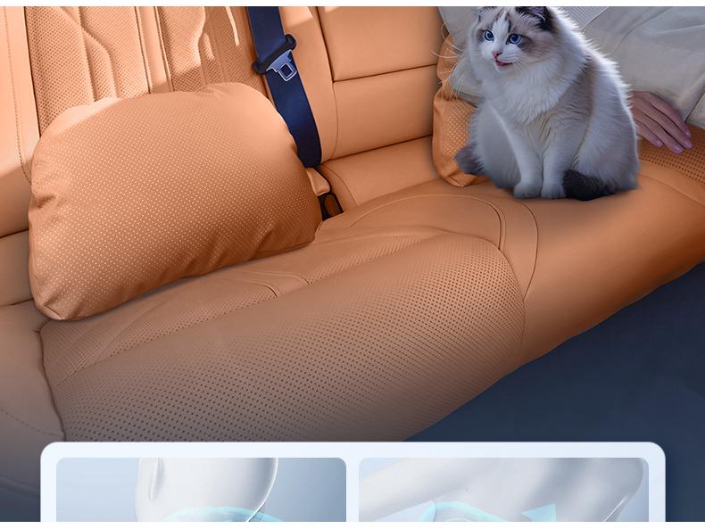 Fengyun X3L Car Interior Essentials: Headrest, Lumbar and Neck Support, Neck and Waist Protection