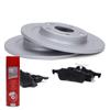 Rear Brake Discs + Pads 201053800