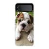 Phone Case For Samsung Galaxy Z Flip 3 4 5 Hard Folding Clear PC Bumper For Samsung Z Flip 6 Back Cover French Bulldog Dog Pet