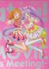 [Movie Pamphlet] Aikatsu PriPara THE MOVIE: Miracle of Encounter Deluxe Edition