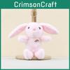 Eared Rainbow Long Rabbit Keyring Soft Stuffed Toy For Kids And Teens Pp Cotton